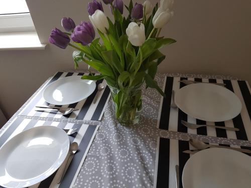 Lidzbark Welski Apartment | Pokoje nad Welem Lidzbark