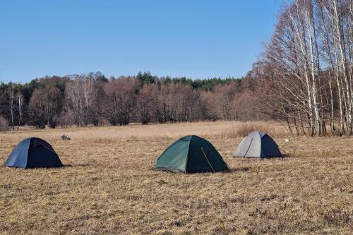 gmina Kampinos Other | Pole namiotowe Chesterfield