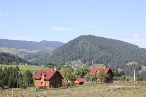 Snidavka Villa | Polonyna