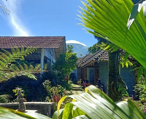 Wonosobo House | Pondok Bamboo Sendangsari