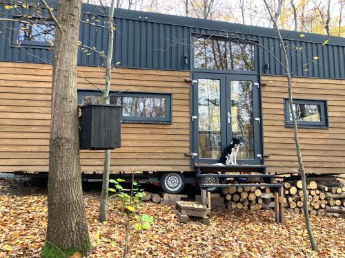 Matraszentlaszlo Apartment | POP Tiny House Mátra