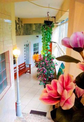 Xilitla House | Posada guitos