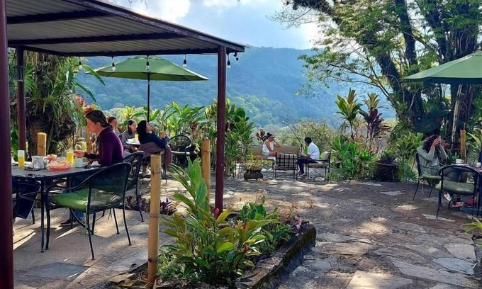 Xilitla Hotel | Posada James