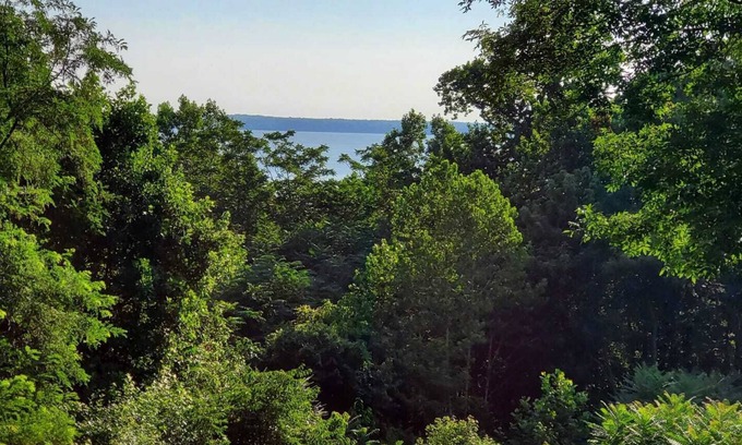 Fredericksburg House | Potomac River View