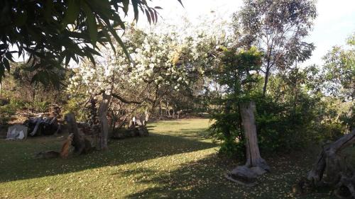 Carrancas Hotel | Pousada Sitio da Serra