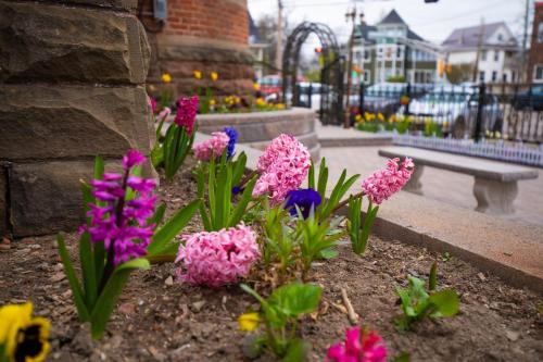 Queens Square Hotel | Prince inn