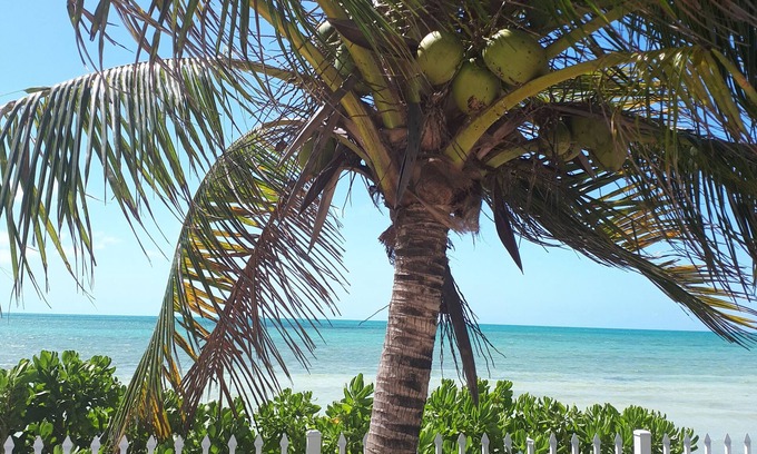 Coral Harbour Cottage | Private and Peaceful Cottage at the Beach