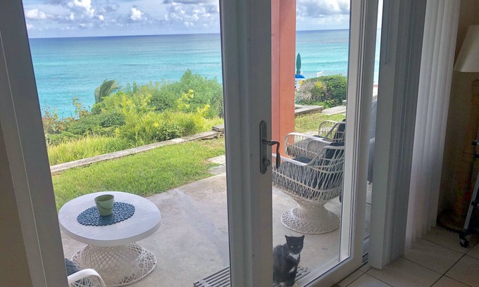 Warwick Apartment | Private Beach - Cliffs of Marley - Studio - Halfway to heaven -