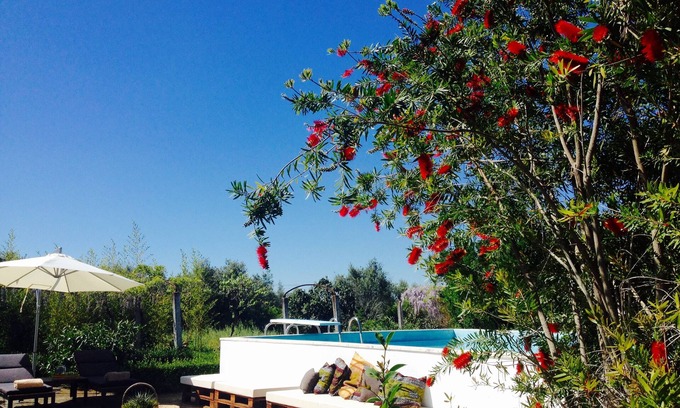 Alvito Other | Private farm with pool in the Alentejo
