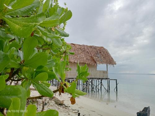 Raja Ampat House | Private Guest House