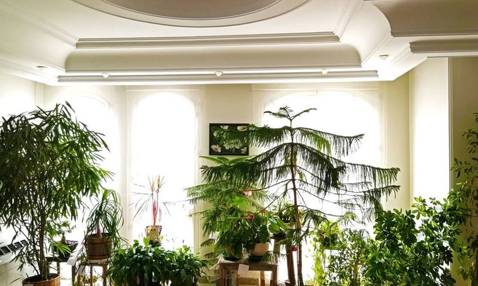 Tehran Province Resort | Private room ∙ 1 guest