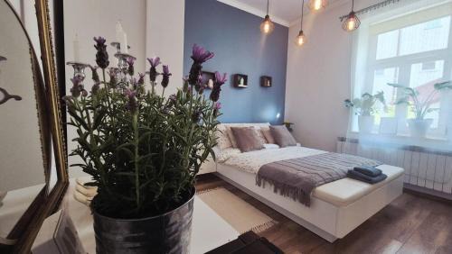 Przemysl Apartment | Przemyślany Azyl II