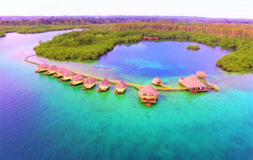 Punta Caracol Hotel | Punta Caracol Acqua Lodge