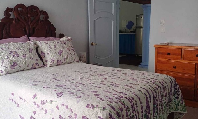 Colonia Adolfo Lopez Mateos Apartment | PURPLE LOTUS COZUMEL fibre optics WIFI, A/C Pool. Walking distance to town.
