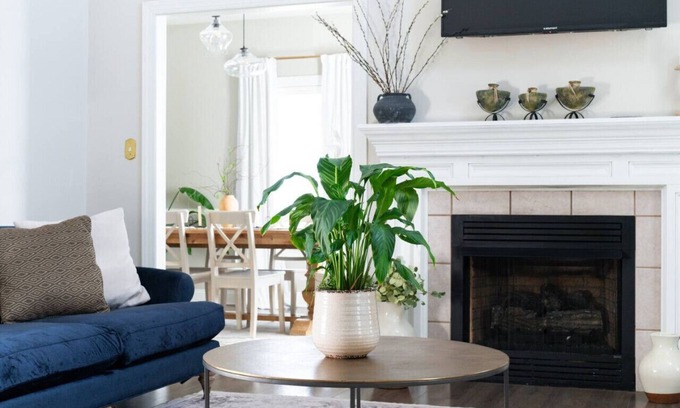 Lynchburg House | Quaint & Cozy | 10 min. to LU | The Wyndsong