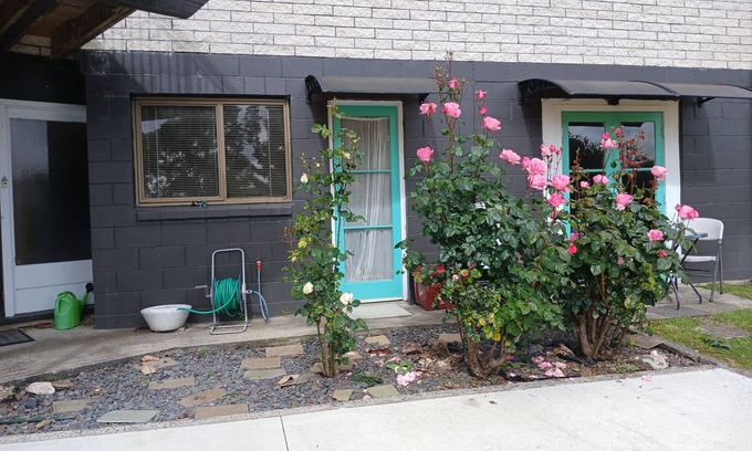 Putaruru Apartment | Quiet apartment with WiFi, parking, kitchen & bathroom in charming Putāruru -