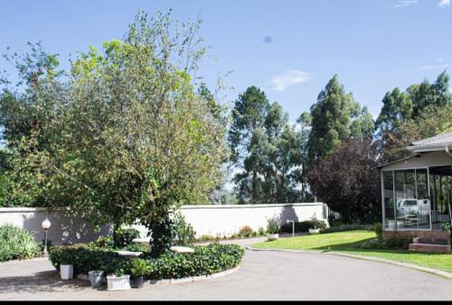 Kokstad House | Quiet Corner Guest House Kokstad