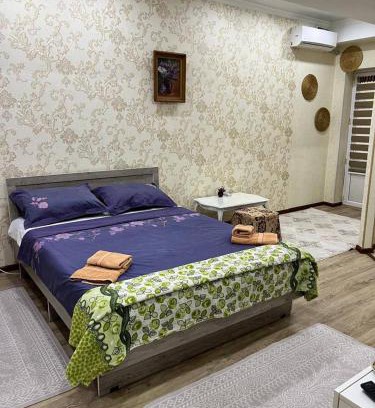 Bishkek Apartment | Quiet privacy in the studio