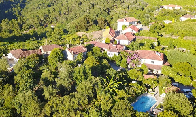 Vila Cha do Marao House | QUINTA DE RIBAS - LES OLIVIERS - QUIET GITE SURROUNDED BY GREENERY