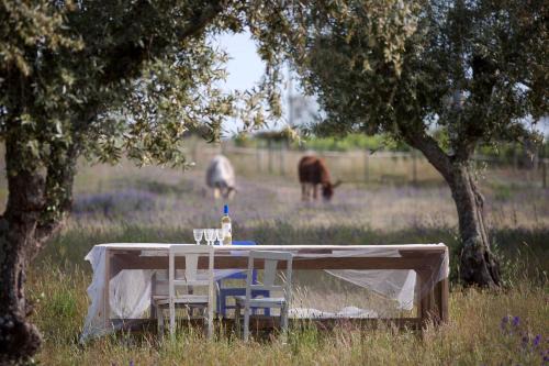 Ferreira do Alentejo Bed & Breakfast | Quinta dos doze Sobreiros - Quarto Sol