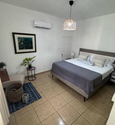 Maleza Baja Apartment | Ramey Loft 3