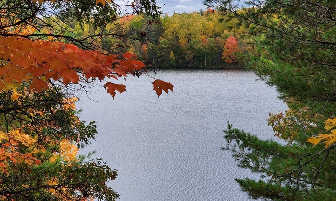 Markville Cabin | Rates dicounted 10% - Nov & Dec 2025. Small quiet lake, Hot Tub, Sauna and WiFi