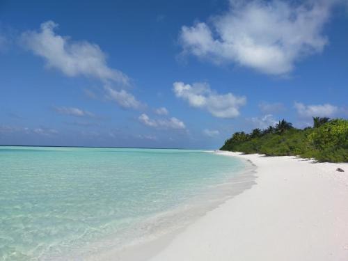 Rakeedhoo Hotel | Rattehi Inn at Rakeedhoo