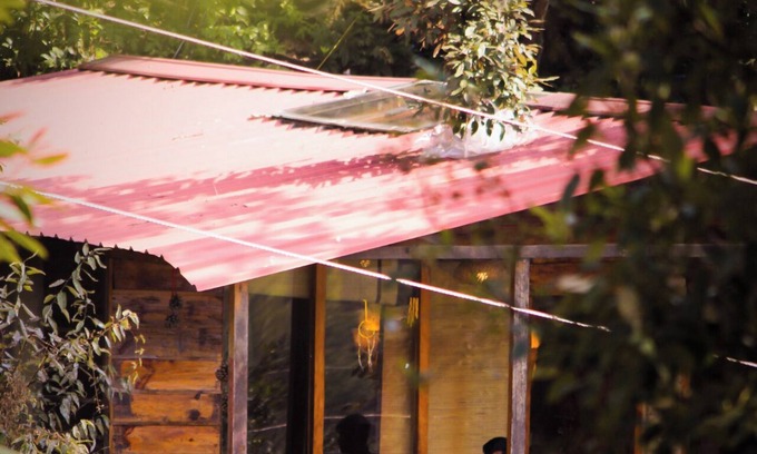 Mukteshwar Cabin | Reconnect with nature, heal your mind, body, and soul.