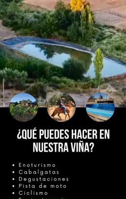 San Nicolas Other | Red Blood Vineyard