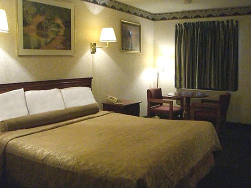 Williamstown Hotel | Red Carpet Inn Williamstown