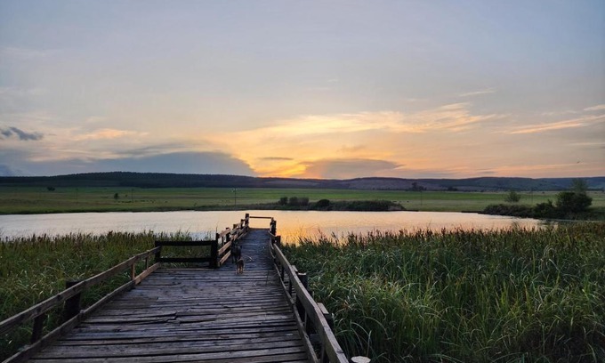 Mkhondo Bed & Breakfast | Reedbuck Lodge