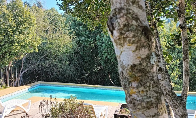 Bajos de Lircay House | Refugio Silvestre