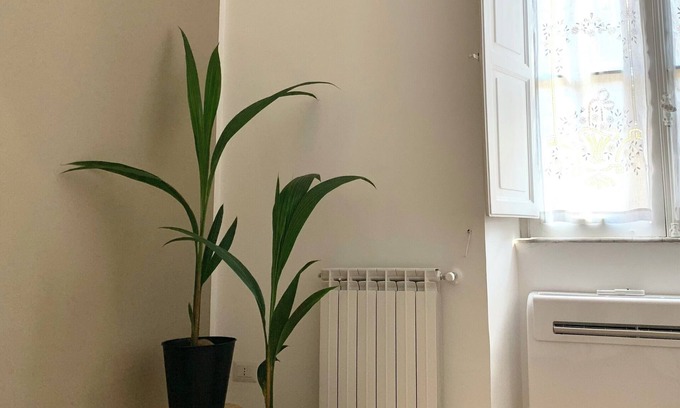 Celio Apartment | Relaxation and zen in fully equipped 2-bedroom apto at Colosseum