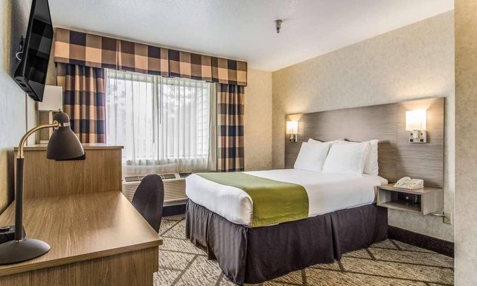 Poulsbo Resort | Relaxing Getaway in GuestHouse Poulsbo with FREE Parking & Bfast, Pets Allowed!