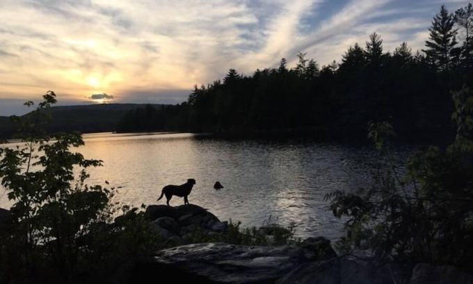 Orland Cabin | Remote off-grid cabin on pond 4WD/AWD required