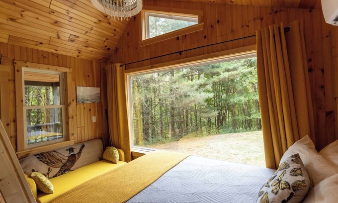 Dailey Cabin | Remote Tiny Cabin/Mountain Hiking/National Forest!