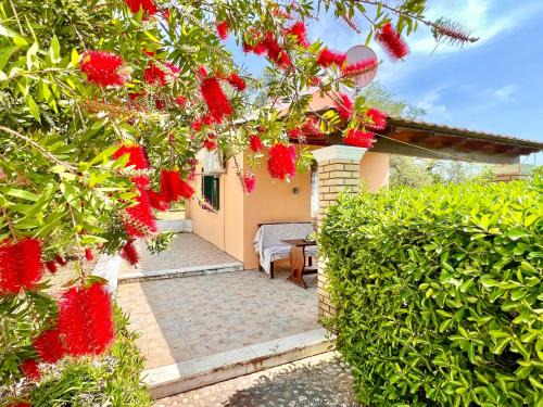 Roda Resort | Renas Studio near Roda by DadoVillas
