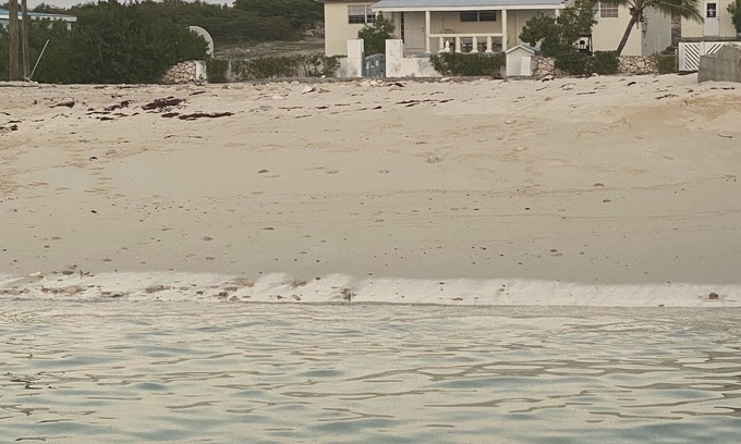 North District House | Rent the entire updated house- walk to dive shop, beach! Bright and breezy!