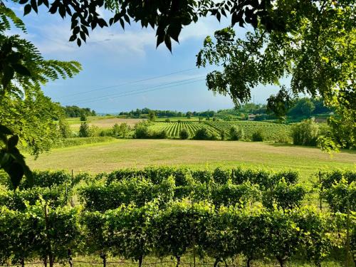 Pozzolengo House | Residenza Le Vigne