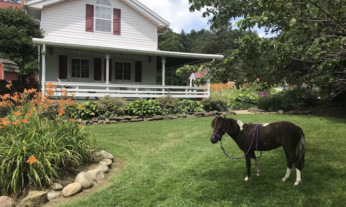 Perrysville Other | Restored Historical Farmhouse With Pond And Farm Animals At Mohican State Park