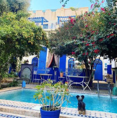 Ain Azlitan House | Riad Jean Claude