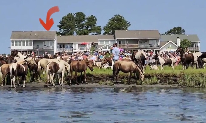 Chincoteague House | Riptide’s Crossing: A waterfront getaway w/deep water dock and incredible views