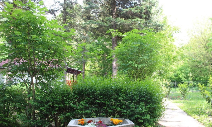 Szentendrei House | River Danube Cottage