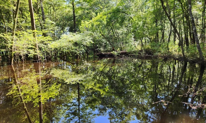 Colleton County House | Riverside 2-bedroom Camper with AC and WiFi. Boat ramp available.