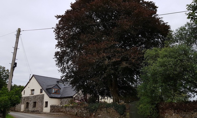 Liskeard Apartment | Robins Nest - At the foot of Bodmin Moor