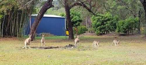 Agnes Water House | Roo Or 2 on Streeter