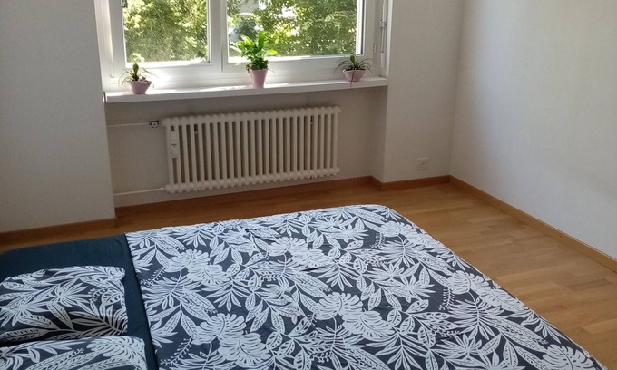 Meilen District House | Room close to the lake
