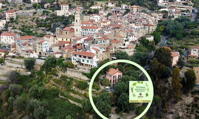 Vallebona Other | Rosemary by LigurianLife Agriturismo U Ciousu