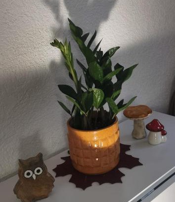 Seligenstadt Apartment | ruhige Sout. Whg. Feldrandnähe