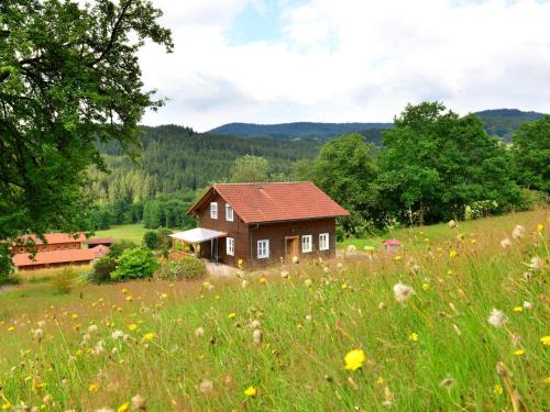 Drachselsried House | Ruhiges Ferienhaus in Drachselsried in Waldnähe